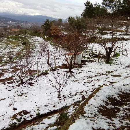 Εξοχικό σπίτι Casa Das Ferrarias Souto da Casa