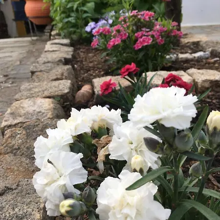 Country house Casa Das Ferrarias *