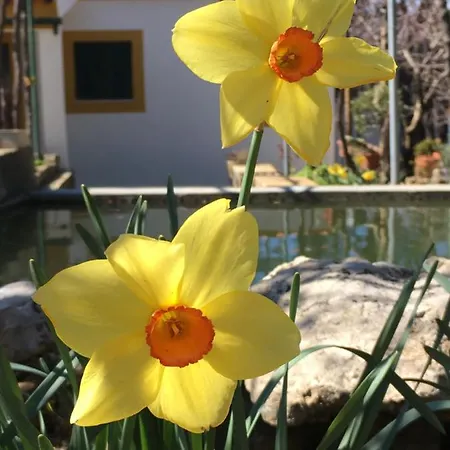 Casa Das Ferrarias *