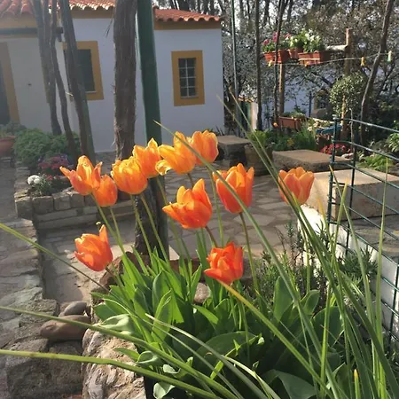 Casa Das Ferrarias * Souto da Casa